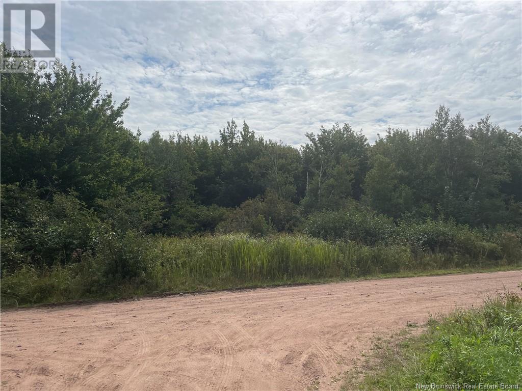 Lot Dugay Point Road, Little Shemogue, New Brunswick  E4M 3W6 - Photo 13 - M160807