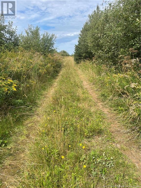 Lot Dugay Point Road, Little Shemogue, New Brunswick  E4M 3W6 - Photo 14 - M160807