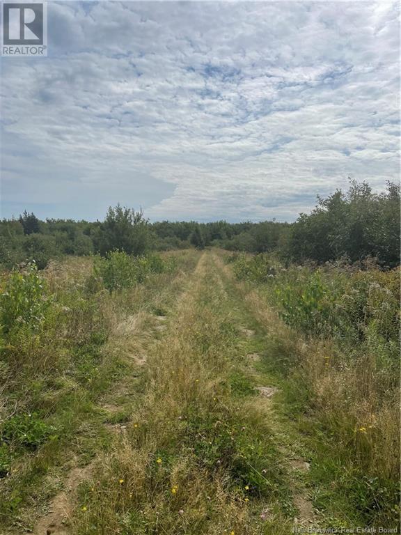 Lot Dugay Point Road, Little Shemogue, New Brunswick  E4M 3W6 - Photo 15 - M160807