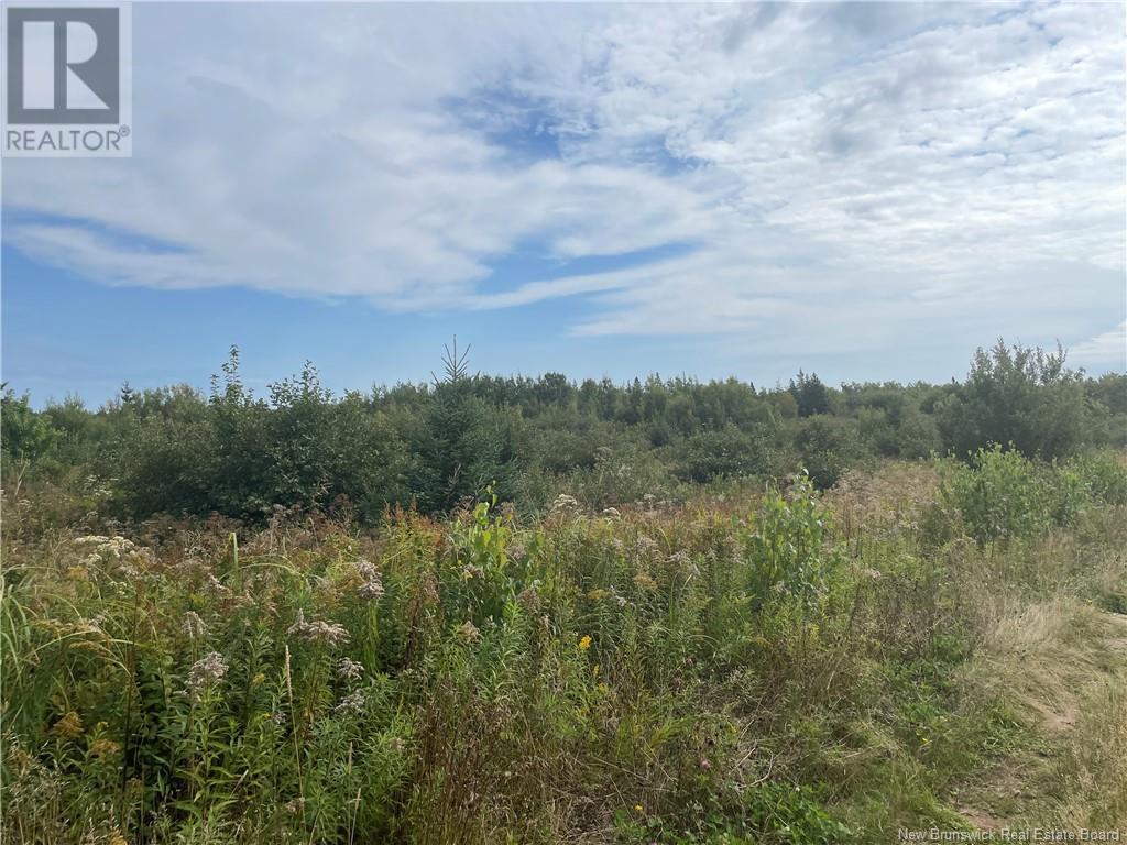 Lot Dugay Point Road, Little Shemogue, New Brunswick  E4M 3W6 - Photo 16 - M160807