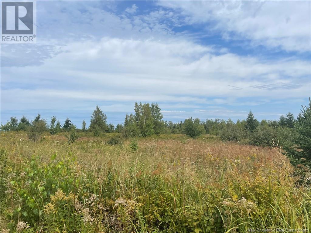 Lot Dugay Point Road, Little Shemogue, New Brunswick  E4M 3W6 - Photo 17 - M160807