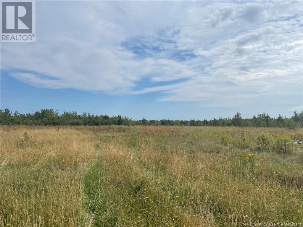 Lot Dugay Point Road, Little Shemogue, New Brunswick  E4M 3W6 - Photo 18 - M160807