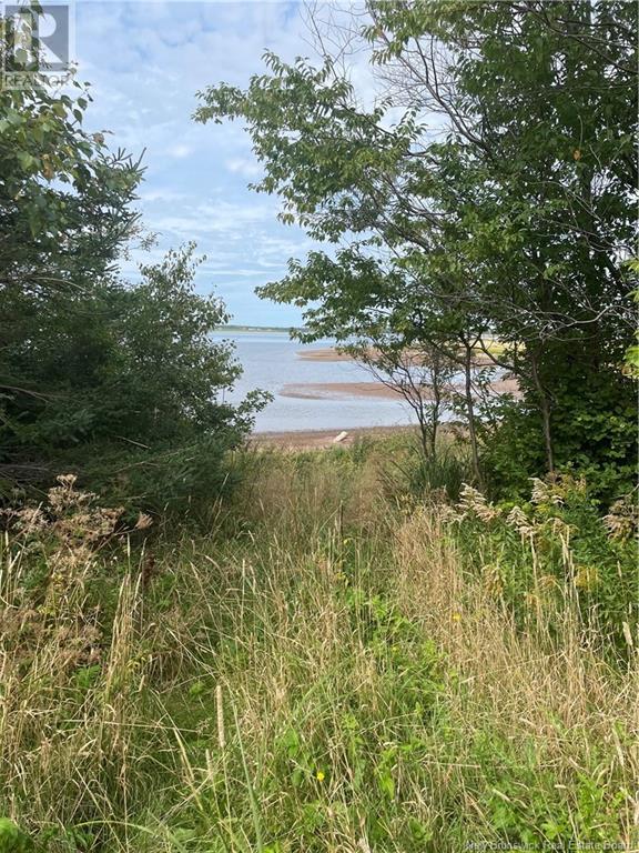 Lot Dugay Point Road, Little Shemogue, New Brunswick  E4M 3W6 - Photo 19 - M160807