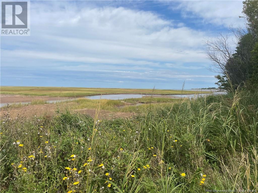 Lot Dugay Point Road, Little Shemogue, New Brunswick  E4M 3W6 - Photo 23 - M160807