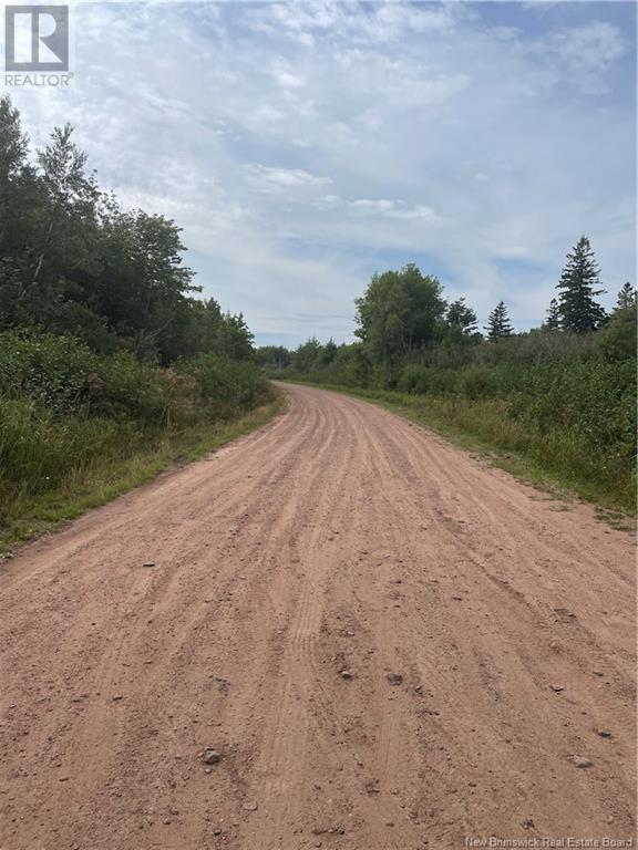 Lot Dugay Point Road, Little Shemogue, New Brunswick  E4M 3W6 - Photo 6 - M160807