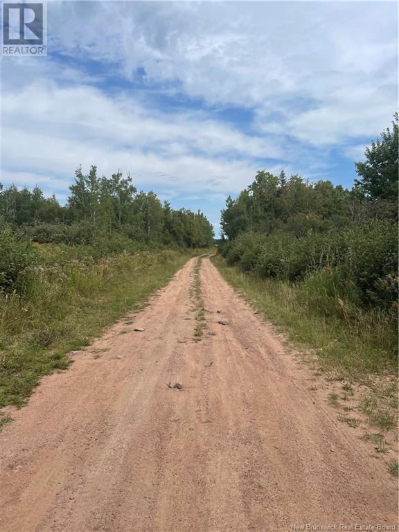 Lot Dugay Point Road, Little Shemogue, New Brunswick  E4M 3W6 - Photo 7 - M160807