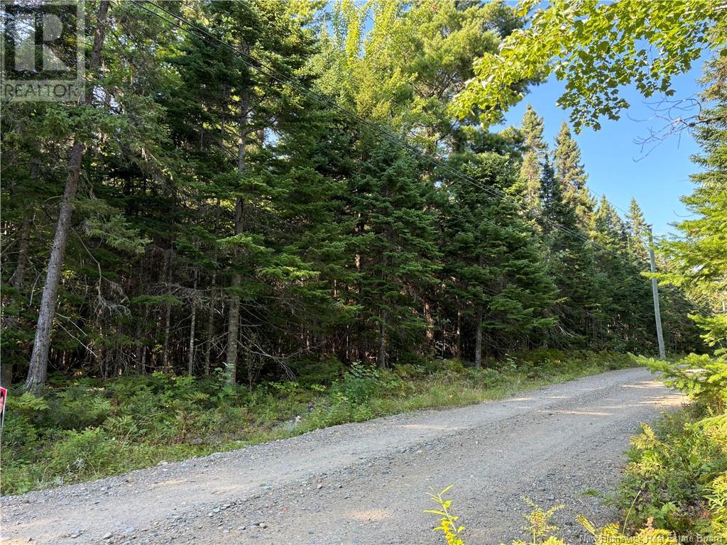 3.5 acre Bossman Drive, blackville, New Brunswick