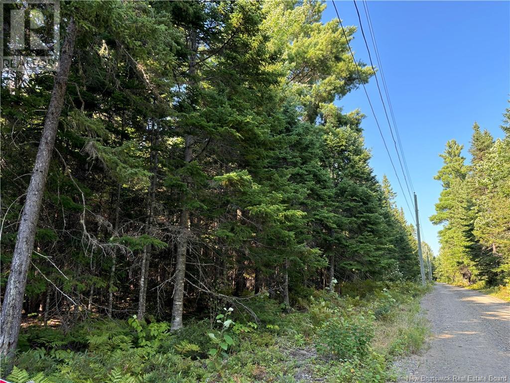 3.5 Acre Bossman Drive, Blackville, New Brunswick  E9B 0E3 - Photo 2 - NB102889