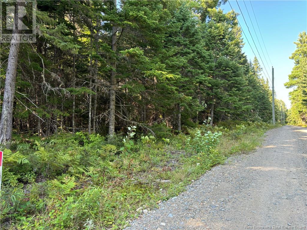 3.5 Acre Bossman Drive, Blackville, New Brunswick  E9B 0E3 - Photo 3 - NB102889