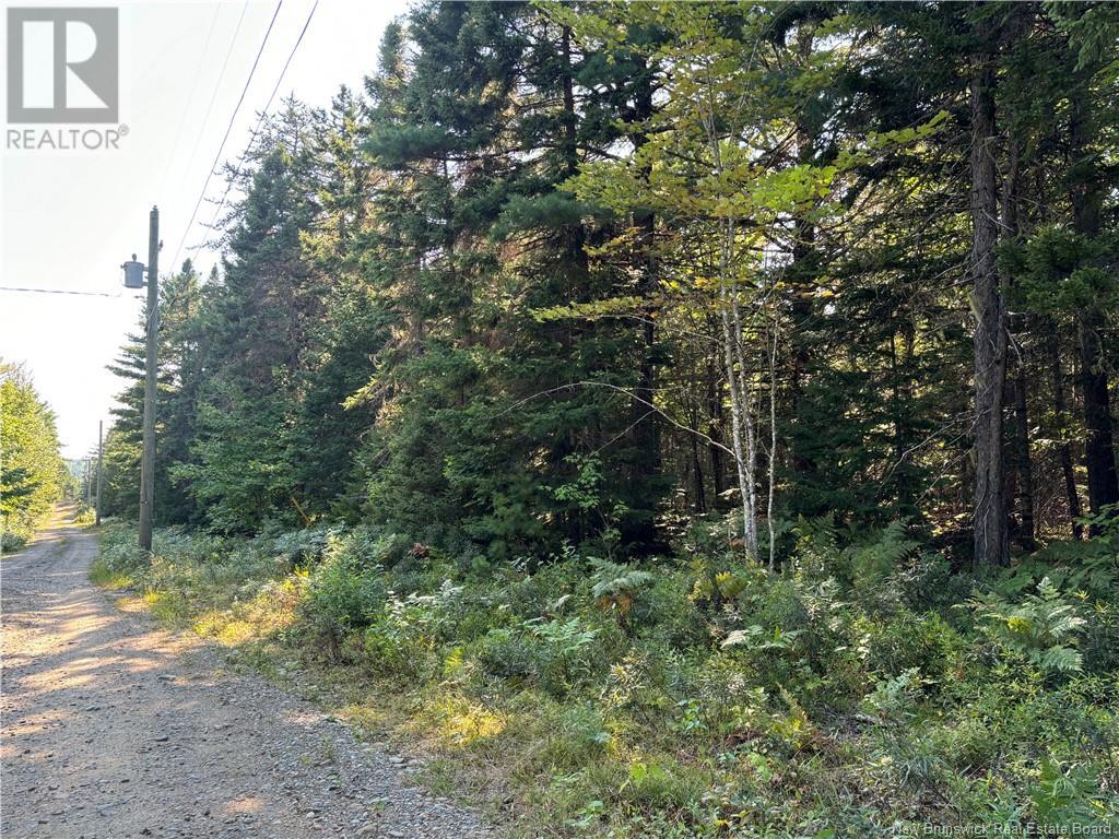 3.5 Acre Bossman Drive, Blackville, New Brunswick  E9B 0E3 - Photo 4 - NB102889