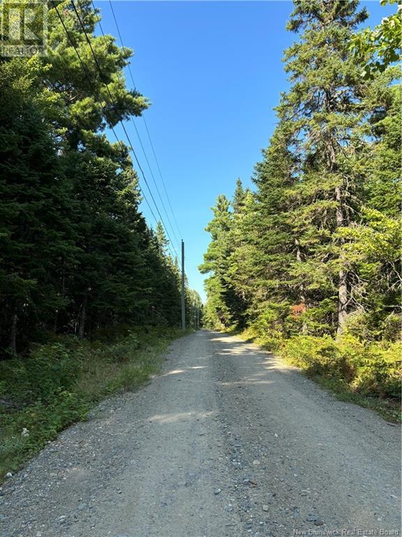 3.5 Acre Bossman Drive, Blackville, New Brunswick  E9B 0E3 - Photo 5 - NB102889