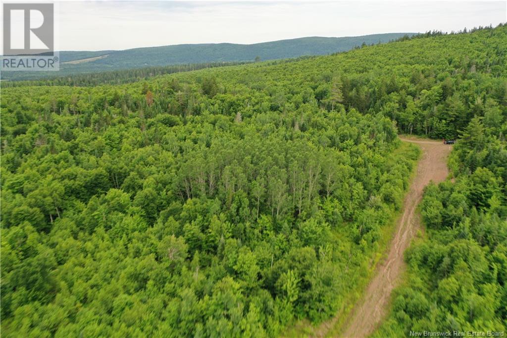 - New Line Road, Poodiac, New Brunswick  E4E 3T1 - Photo 1 - NB102896