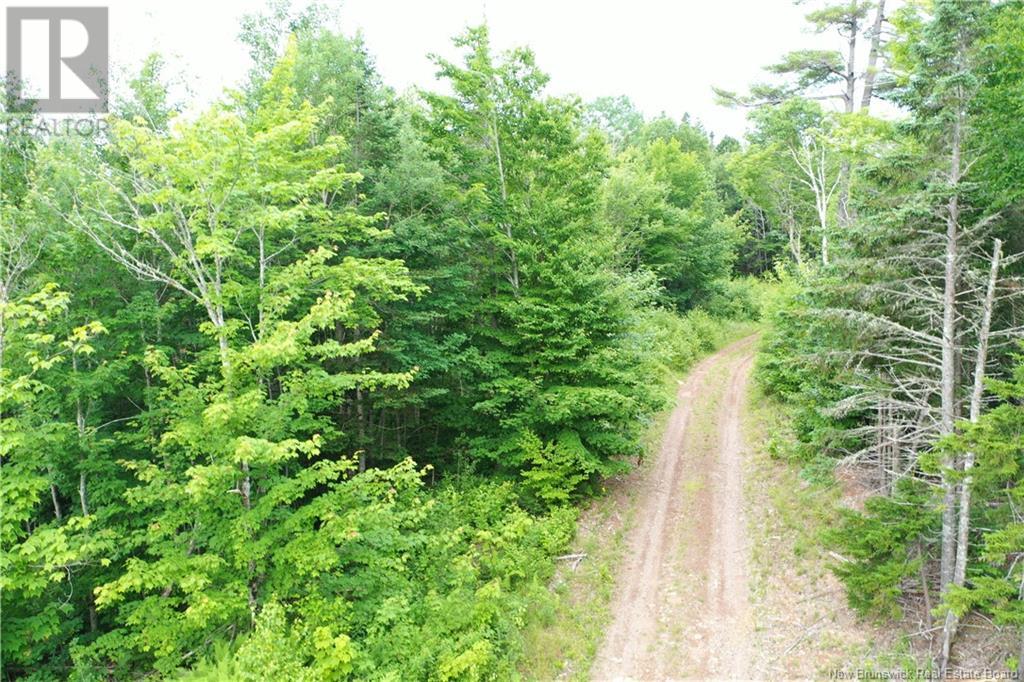 - New Line Road, Poodiac, New Brunswick  E4E 3T1 - Photo 10 - NB102896