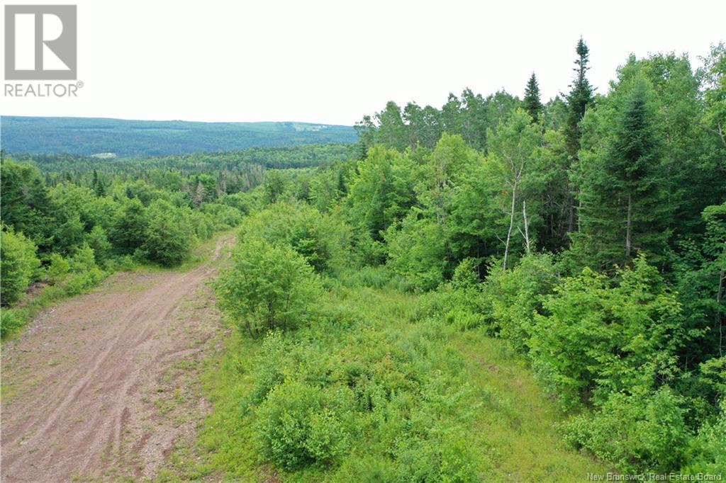 - New Line Road, Poodiac, New Brunswick  E4E 3T1 - Photo 11 - NB102896