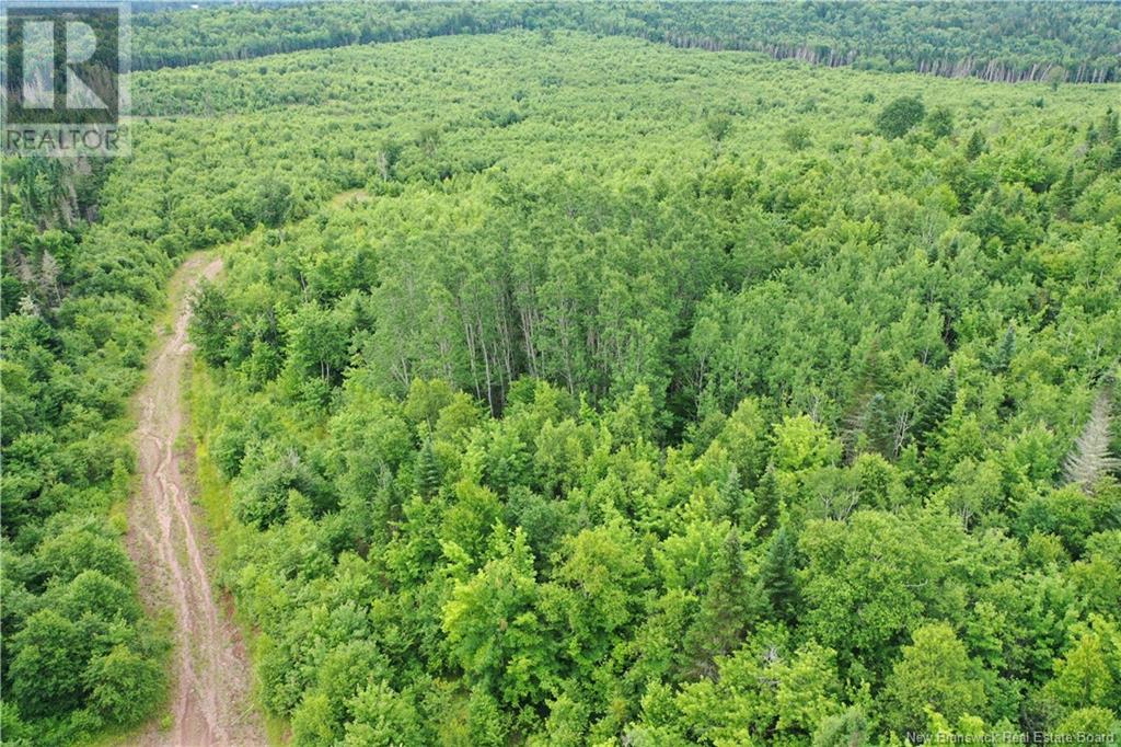 - New Line Road, Poodiac, New Brunswick  E4E 3T1 - Photo 4 - NB102896