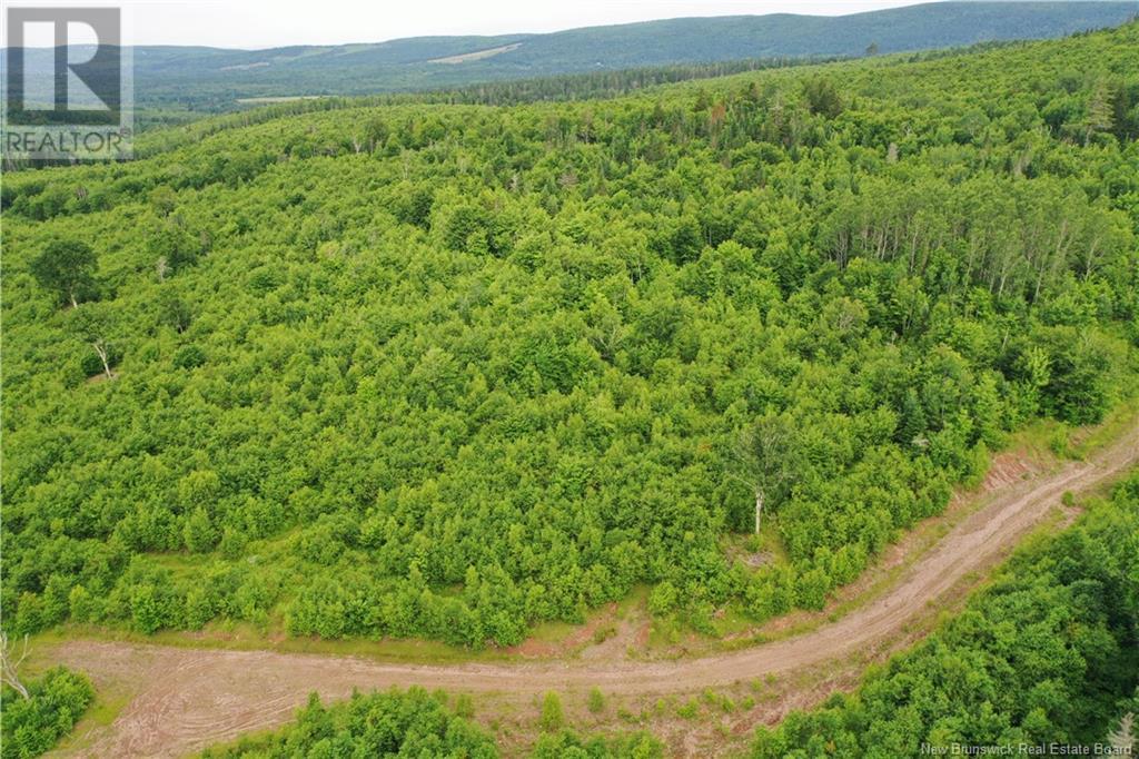 - New Line Road, Poodiac, New Brunswick  E4E 3T1 - Photo 5 - NB102896