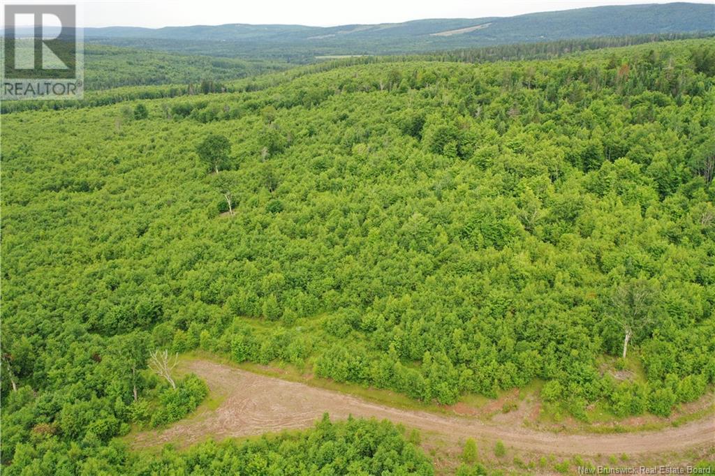 - New Line Road, Poodiac, New Brunswick  E4E 3T1 - Photo 6 - NB102896