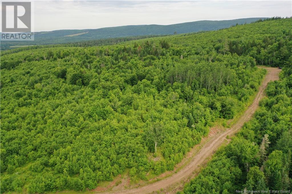 - New Line Road, Poodiac, New Brunswick  E4E 3T1 - Photo 7 - NB102896