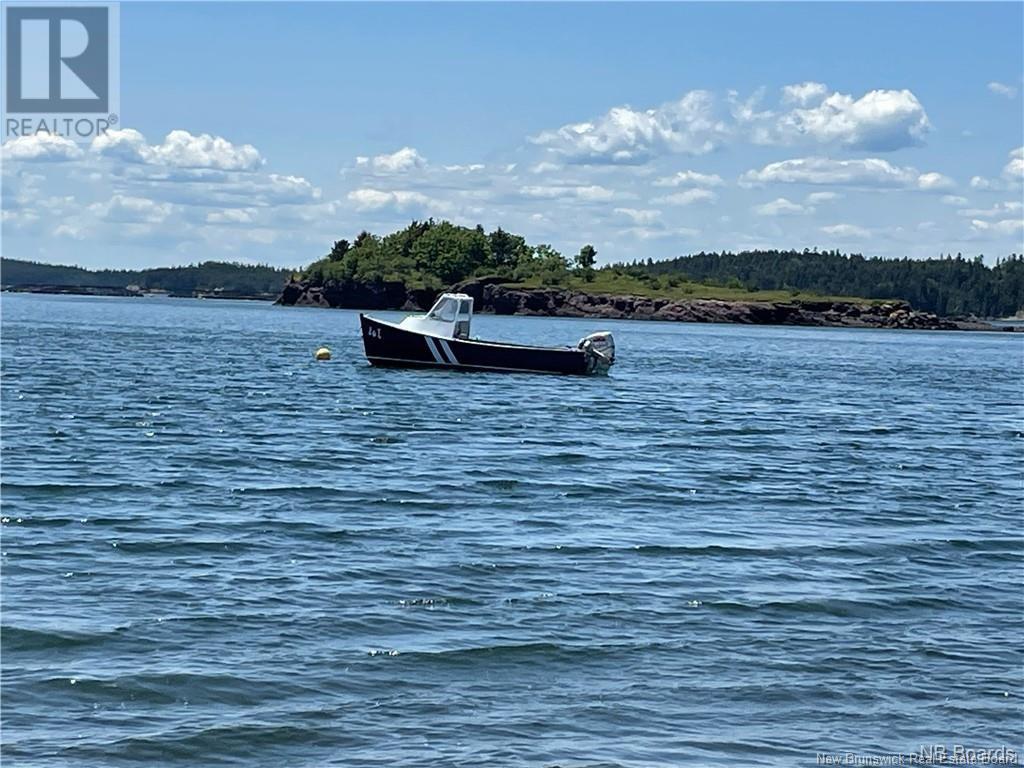 - Hills Island/mccann Island, Back Bay, New Brunswick  E5G 1G1 - Photo 12 - NB102935