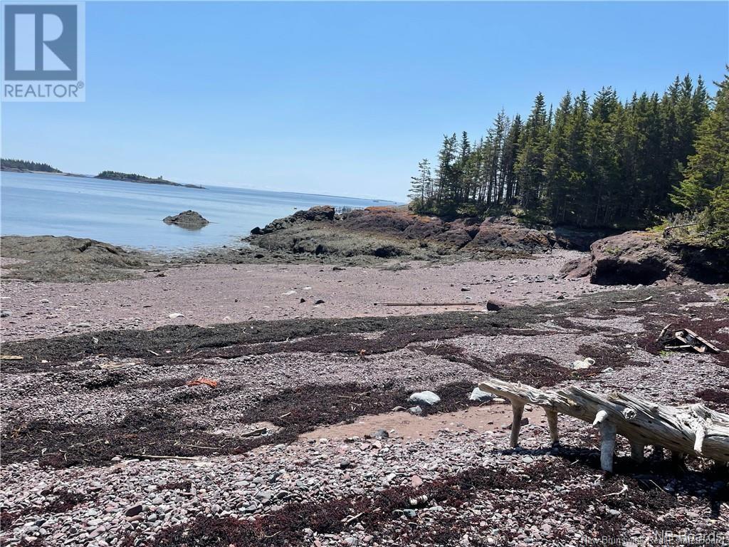 - Hills Island/mccann Island, Back Bay, New Brunswick  E5G 1G1 - Photo 13 - NB102935