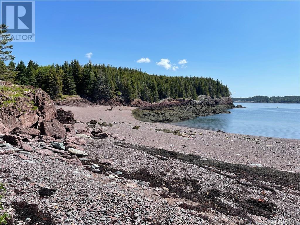 - Hills Island/mccann Island, Back Bay, New Brunswick  E5G 1G1 - Photo 14 - NB102935