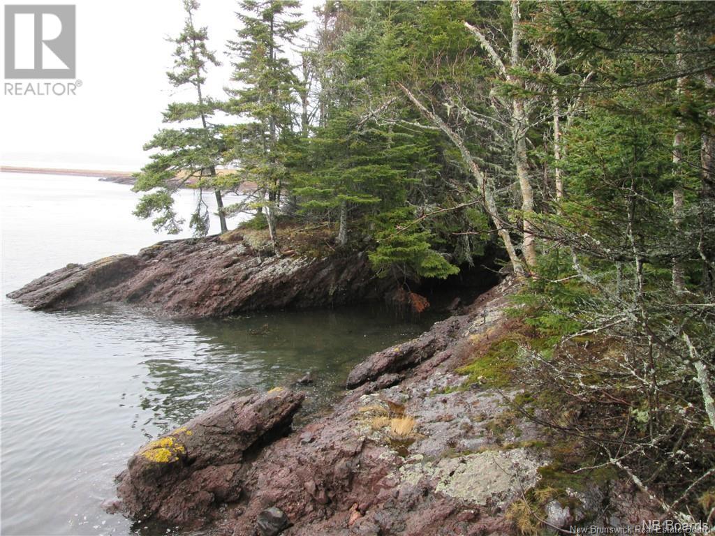 - Hills Island/mccann Island, Back Bay, New Brunswick  E5G 1G1 - Photo 26 - NB102935