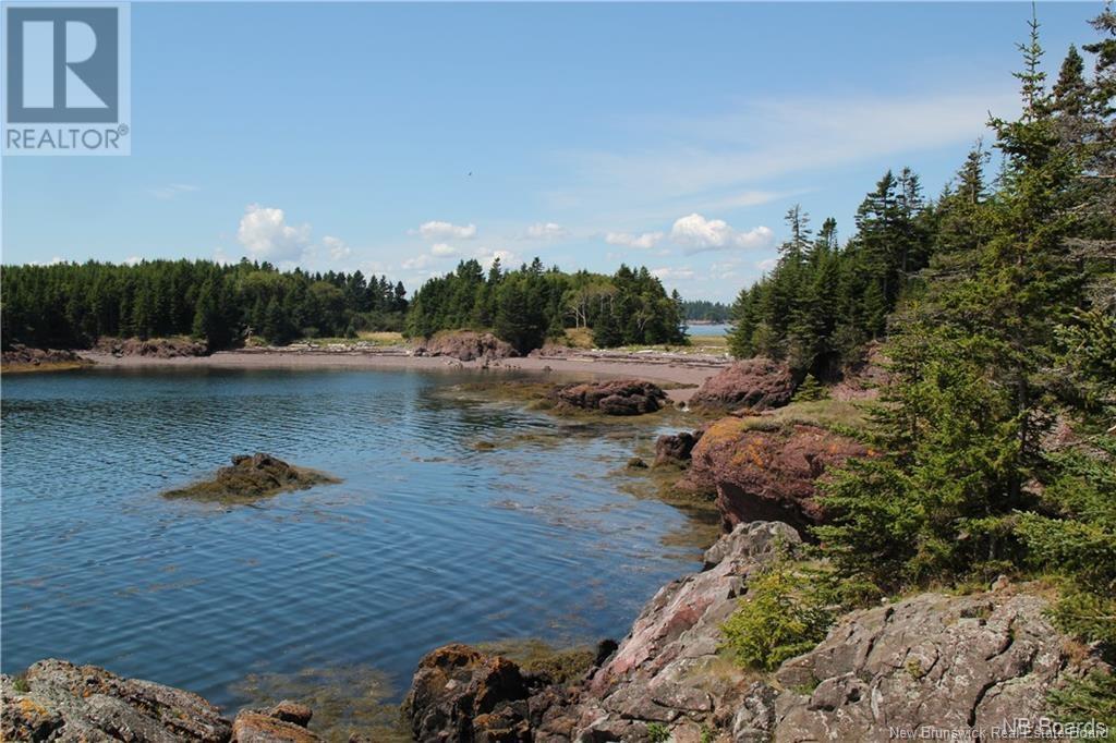 - Hills Island/mccann Island, Back Bay, New Brunswick  E5G 1G1 - Photo 27 - NB102935