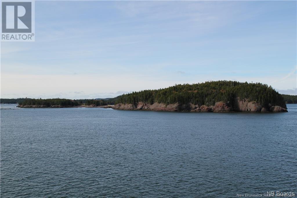 - Hills Island/mccann Island, Back Bay, New Brunswick  E5G 1G1 - Photo 3 - NB102935