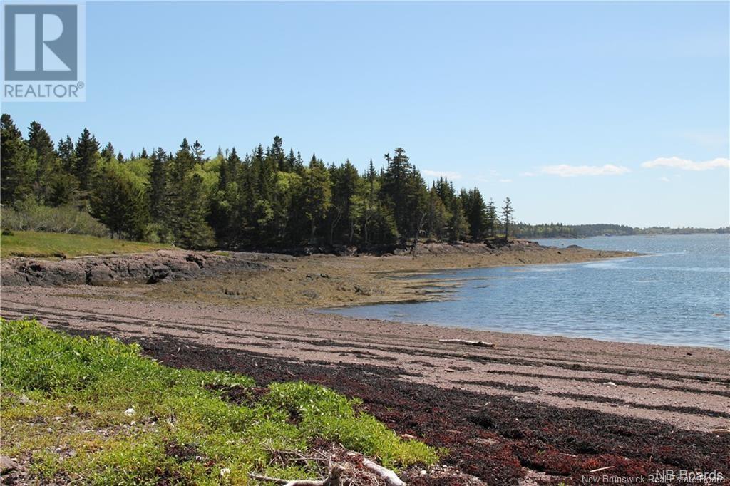 - Hills Island/mccann Island, Back Bay, New Brunswick  E5G 1G1 - Photo 38 - NB102935