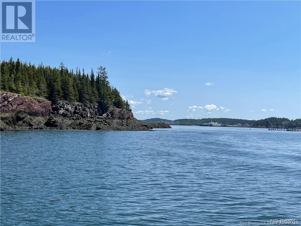 - Hills Island/mccann Island, Back Bay, New Brunswick  E5G 1G1 - Photo 5 - NB102935