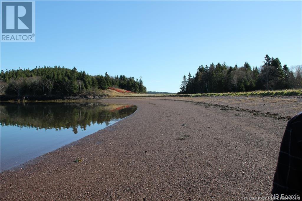 - Hills/mccann Island, Back Bay, New Brunswick  E5G 1G1 - Photo 28 - NB102928