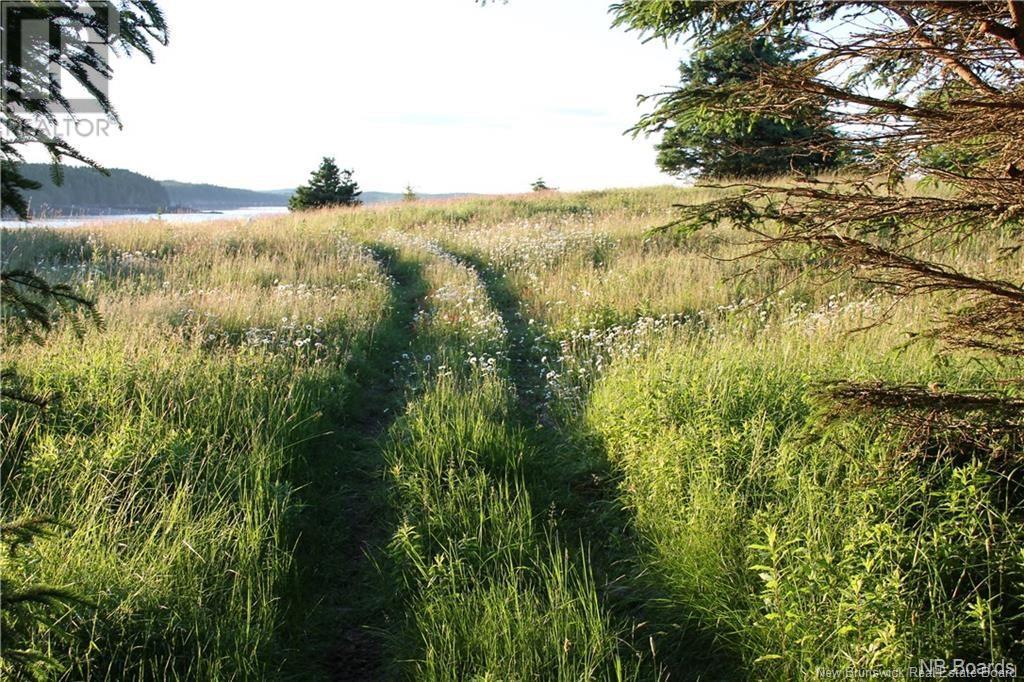 - Hills/mccann Island, Back Bay, New Brunswick  E5G 1G1 - Photo 36 - NB102928