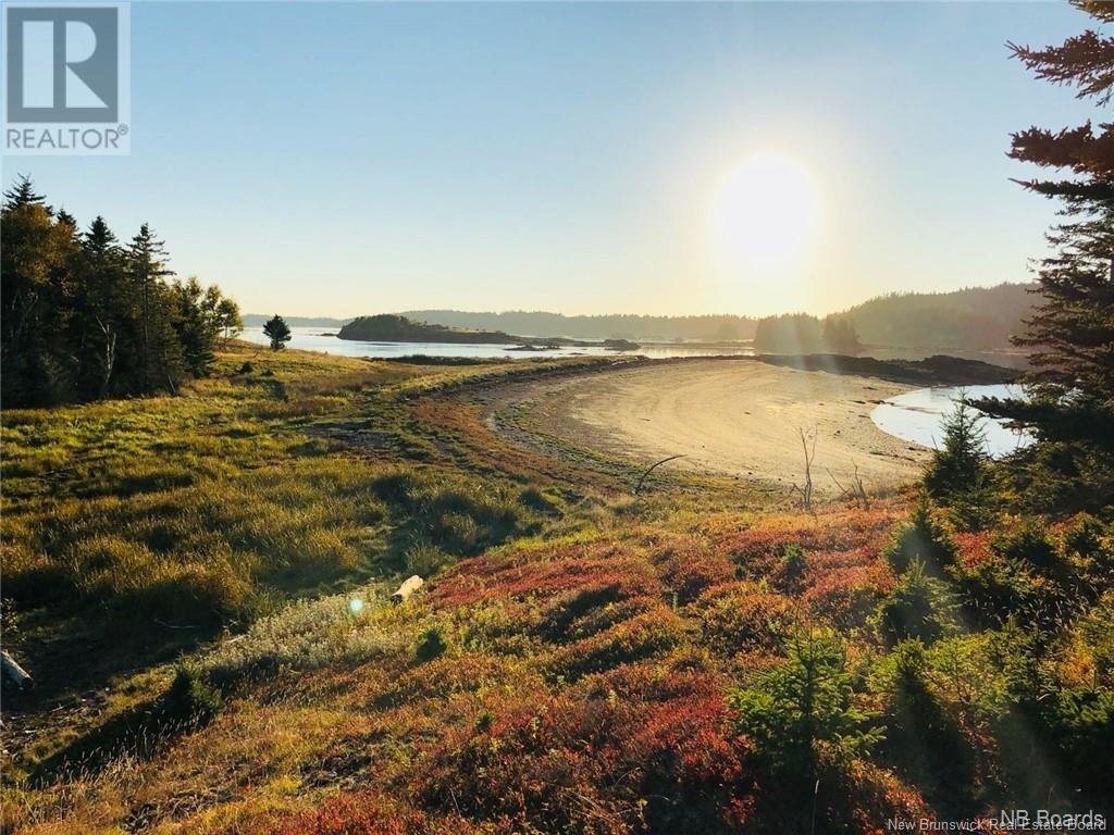 - Hills/mccann Island, Back Bay, New Brunswick  E5G 1G1 - Photo 37 - NB102928