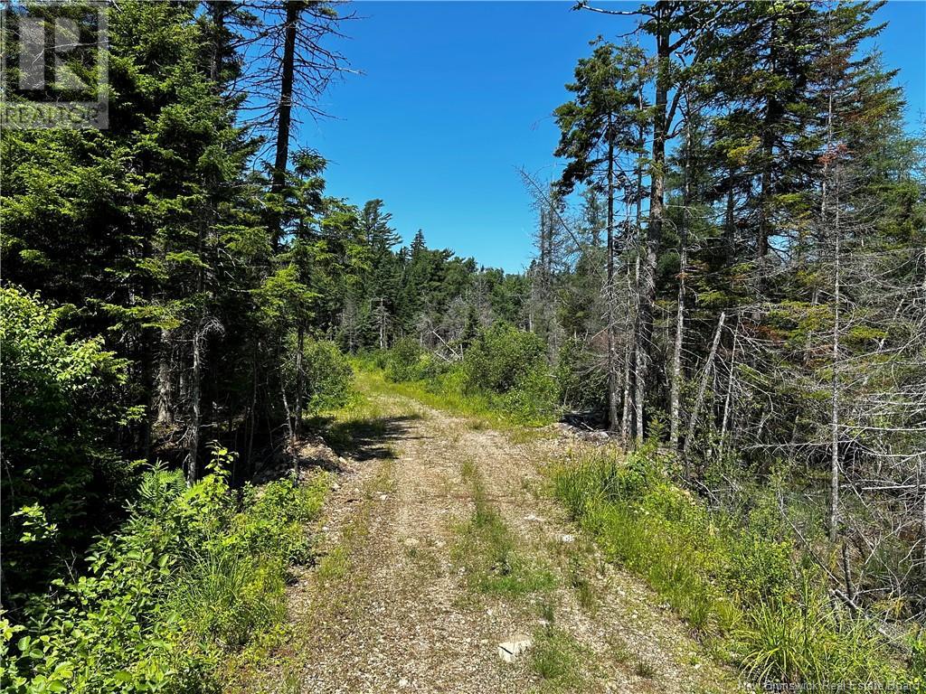 - Centerton Road, Clifton Royal, New Brunswick  E5S 2G2 - Photo 2 - NB102975