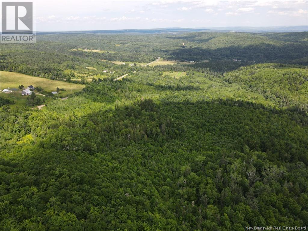 0 Scribner Road, Belleisle Creek, New Brunswick  E5P 1X6 - Photo 19 - NB102995