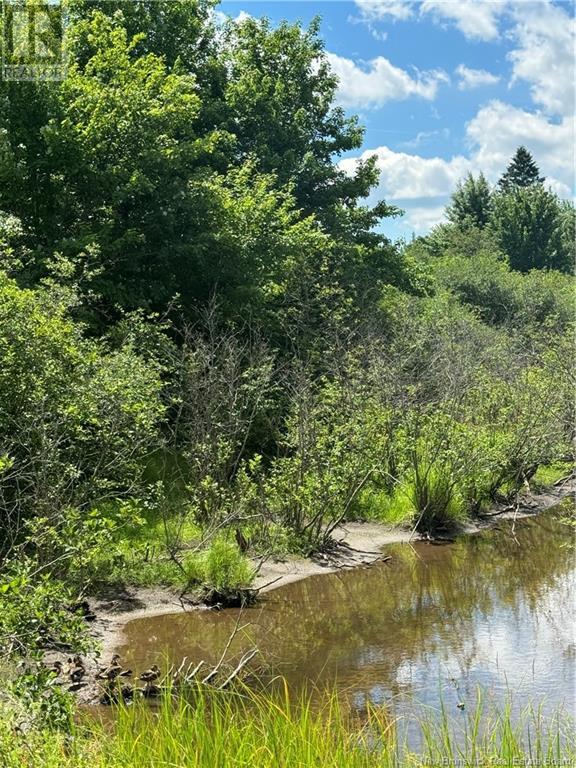 Lot Aldouane Station Road, Saint-Charles, New Brunswick  E4W 4W8 - Photo 5 - M160932