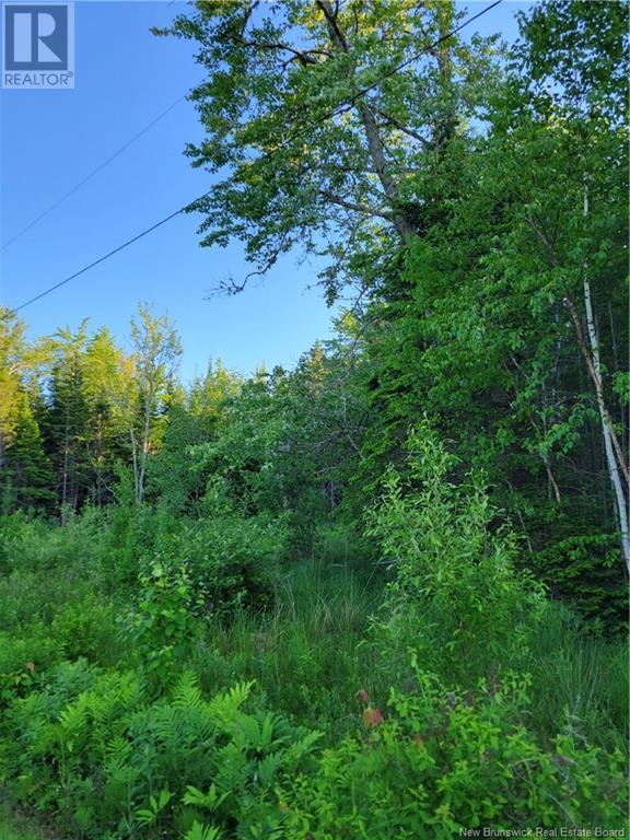 Lot 79-20 Morton Lane, cumberland bay, New Brunswick