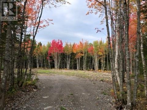 Lot 11-11 Shaeffer Road, Berry Mills, New Brunswick  E1G 3W7 - Photo 2 - M160918