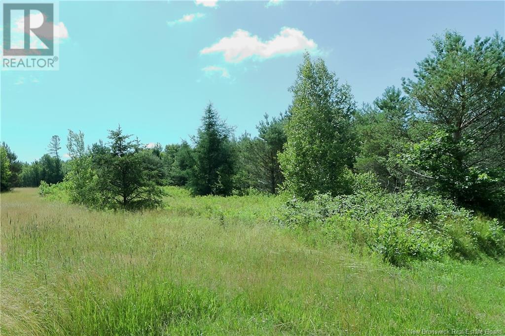 Lot 95 Main Street, Chipman, New Brunswick  O0O 0O0 - Photo 1 - NB103091