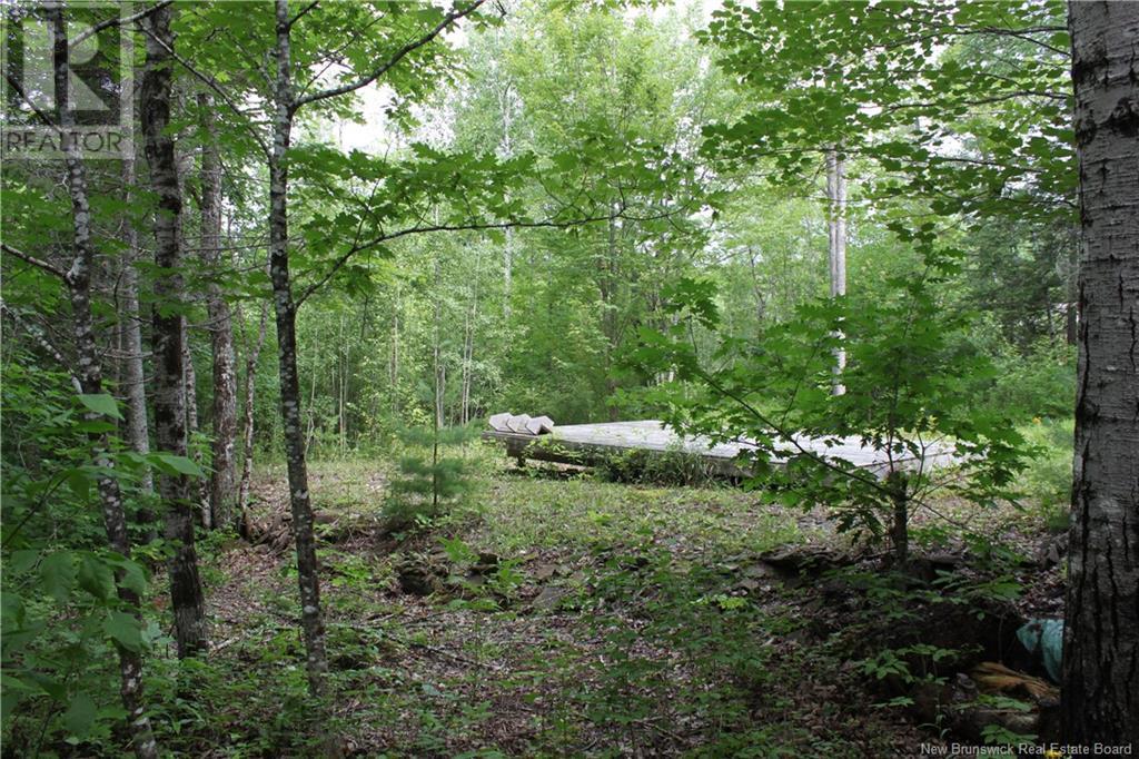 Holland Lane, Cambridge-Narrows, New Brunswick  E4C 1Y8 - Photo 11 - NB103074