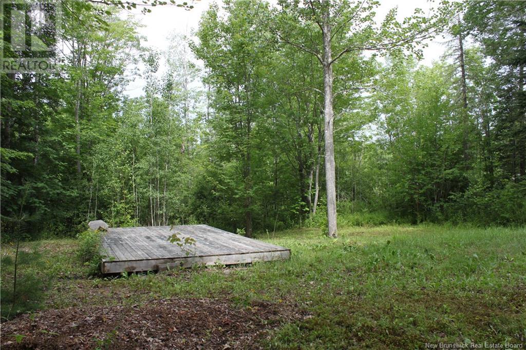 Holland Lane, Cambridge-Narrows, New Brunswick  E4C 1Y8 - Photo 12 - NB103074