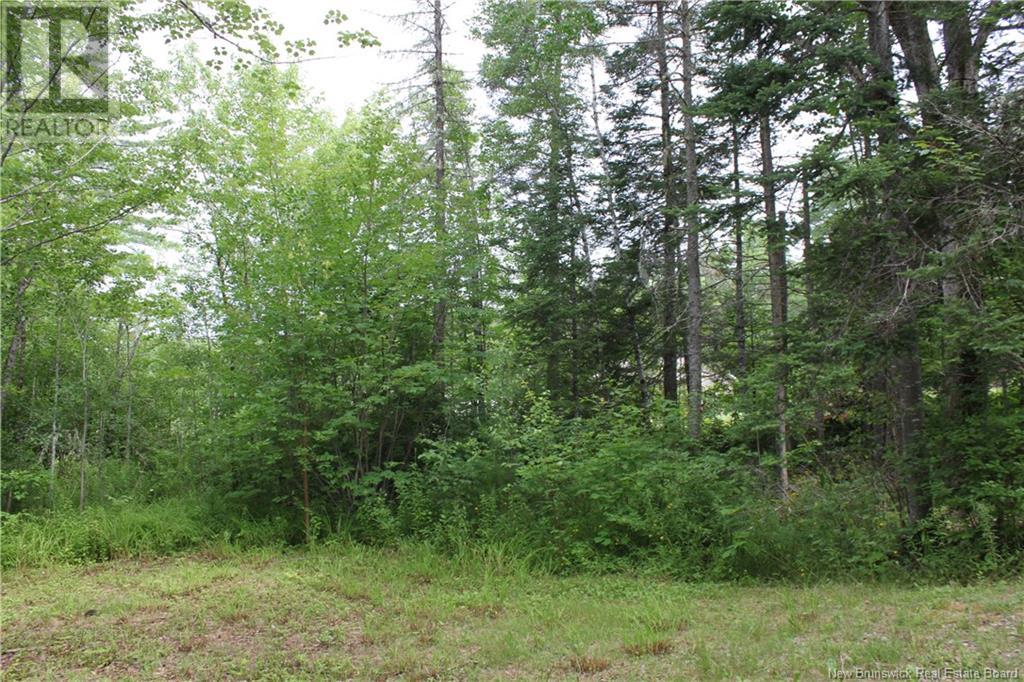 - Holland Lane, Cambridge-Narrows, New Brunswick  E4C 1Y8 - Photo 19 - NB103074