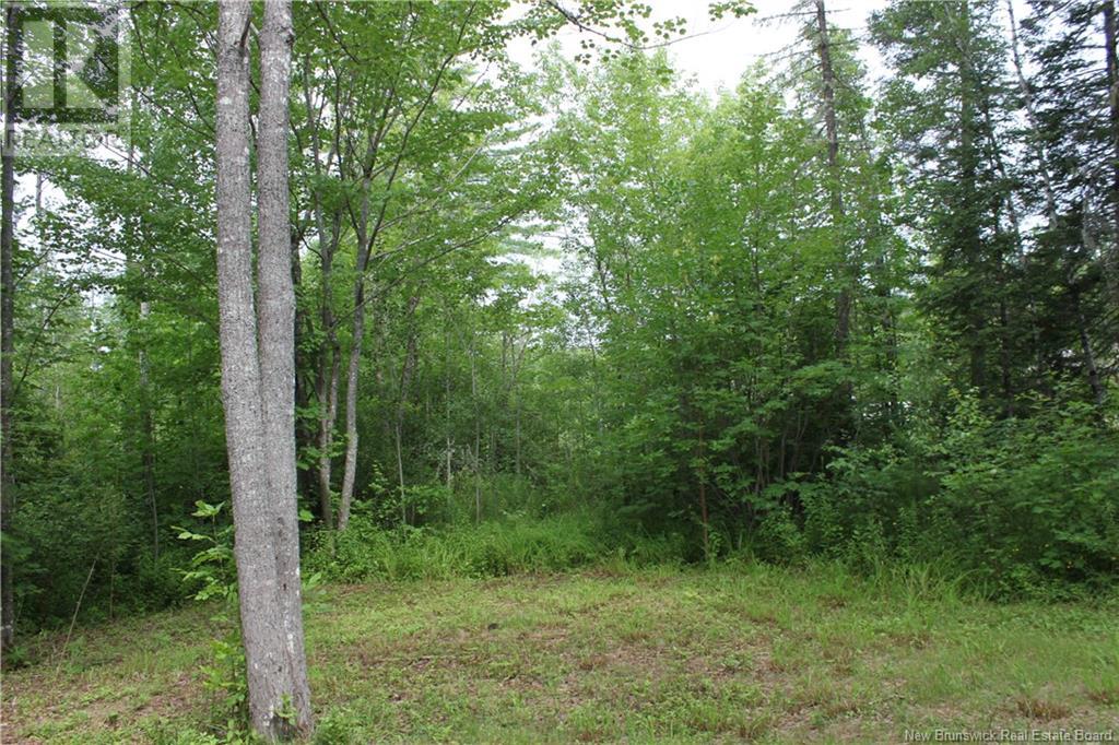 - Holland Lane, Cambridge-Narrows, New Brunswick  E4C 1Y8 - Photo 20 - NB103074