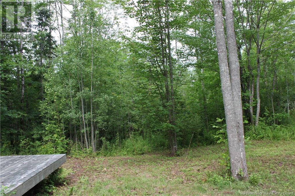 - Holland Lane, Cambridge-Narrows, New Brunswick  E4C 1Y8 - Photo 21 - NB103074