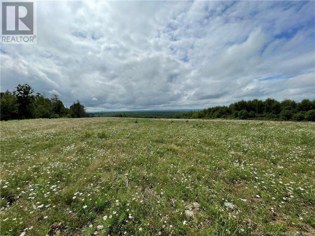 Lot 0 Route 550, Lindsay, New Brunswick  E7M 5M4 - Photo 4 - NB103084