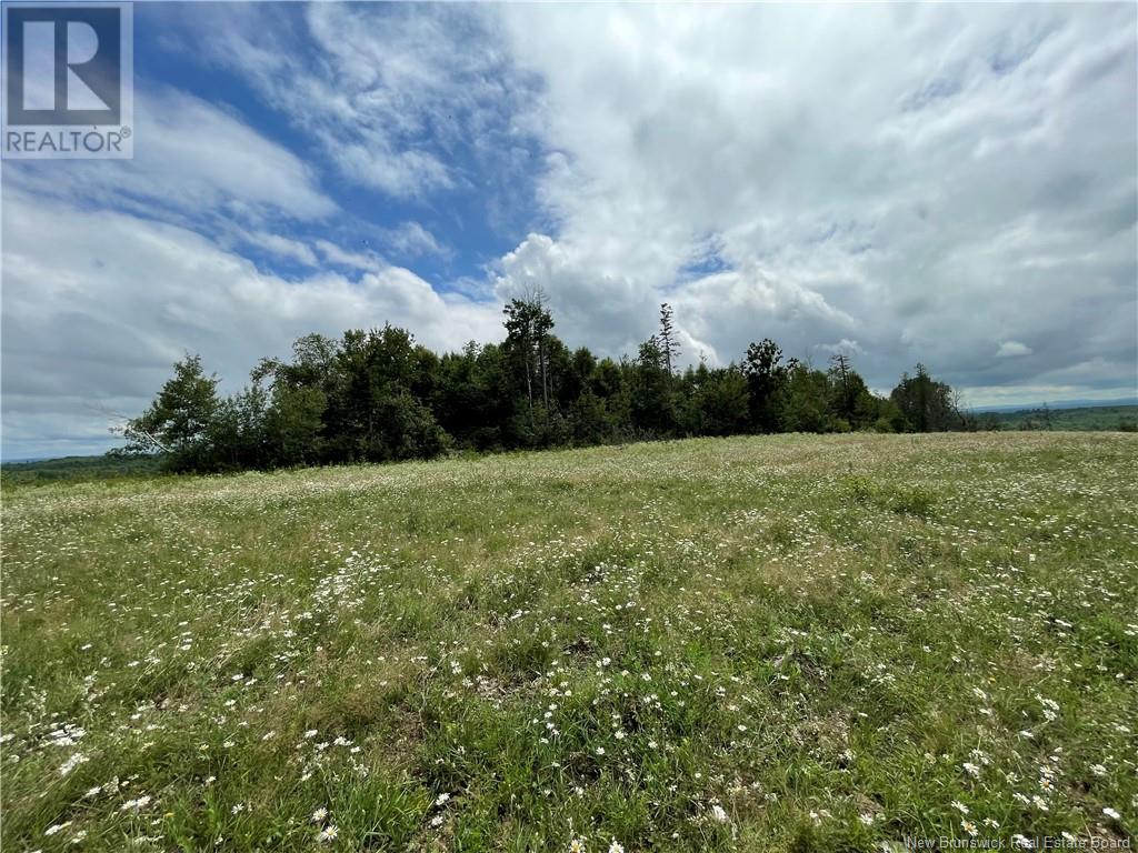 Lot 0 Route 550, Lindsay, New Brunswick  E7M 5M4 - Photo 6 - NB103084