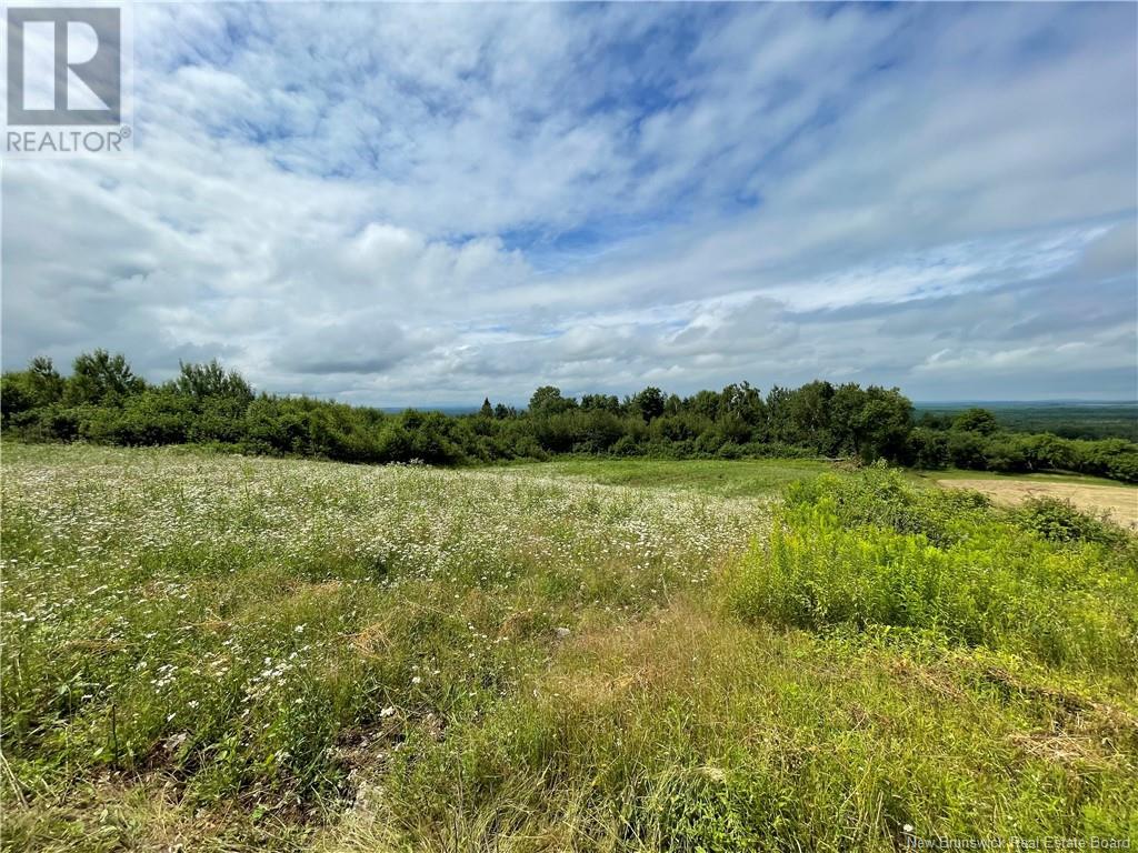 Lot 0 Route 550, Lindsay, New Brunswick  E7M 5M4 - Photo 8 - NB103084