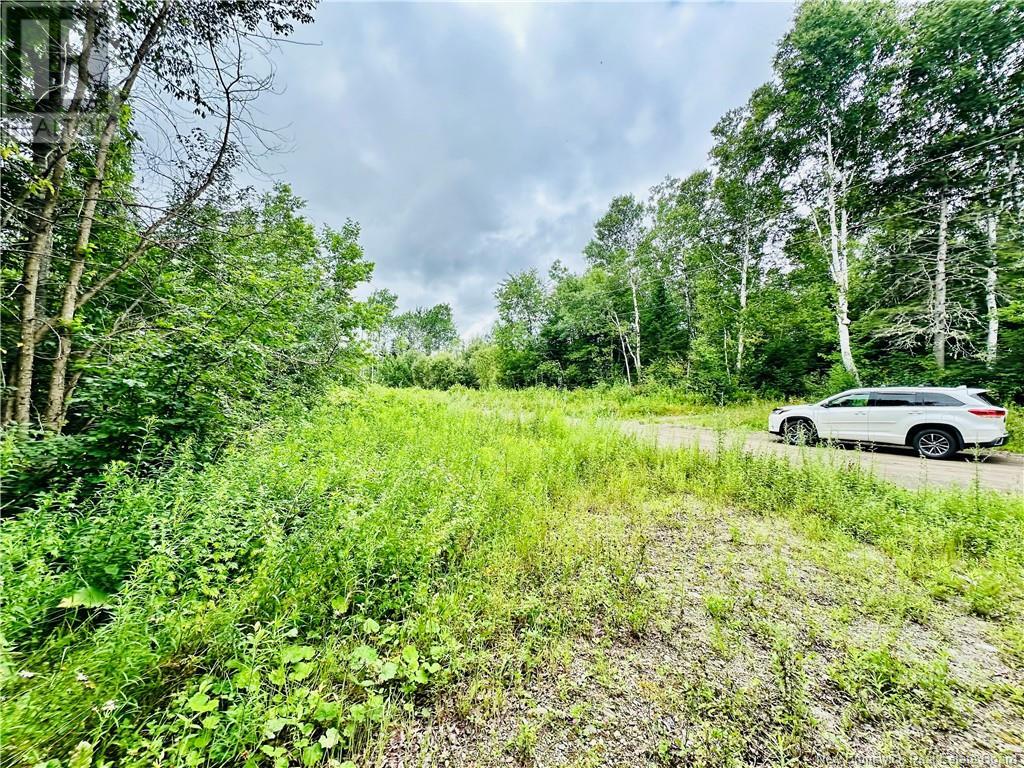 Lot 02-1 Slater Road, Maxwell, New Brunswick  E7N 2Z8 - Photo 11 - NB102955