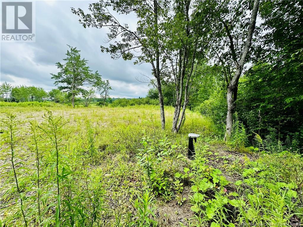 Lot 02-1 Slater Road, Maxwell, New Brunswick  E7N 2Z8 - Photo 13 - NB102955