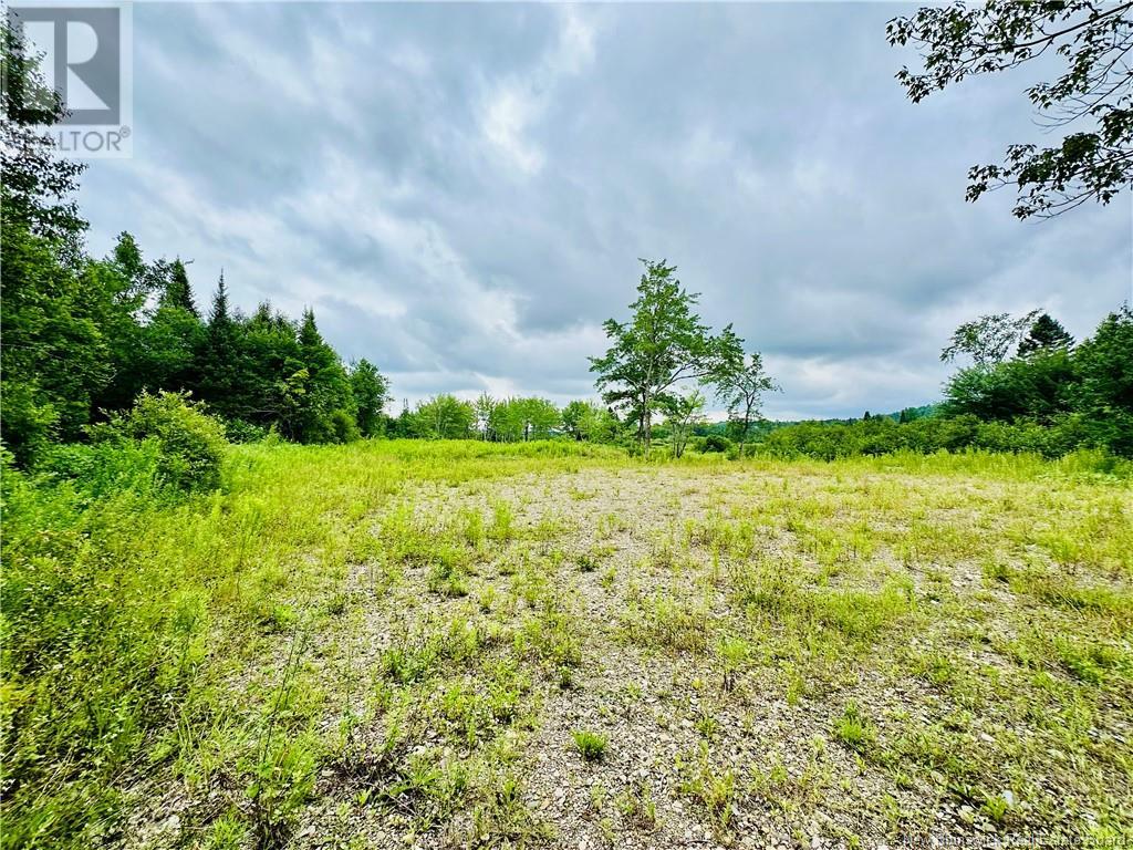 Lot 02-1 Slater Road, Maxwell, New Brunswick  E7N 2Z8 - Photo 16 - NB102955